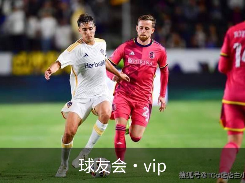球友会·vip概况